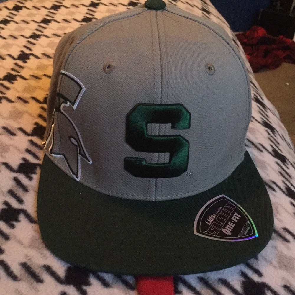 Michigan state SnapBack hat